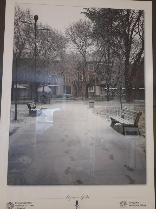 РИОСВ-Пазарджик връчи специална награда на фотоизложбата „Фоторепортажи Пазарджик диша“ 