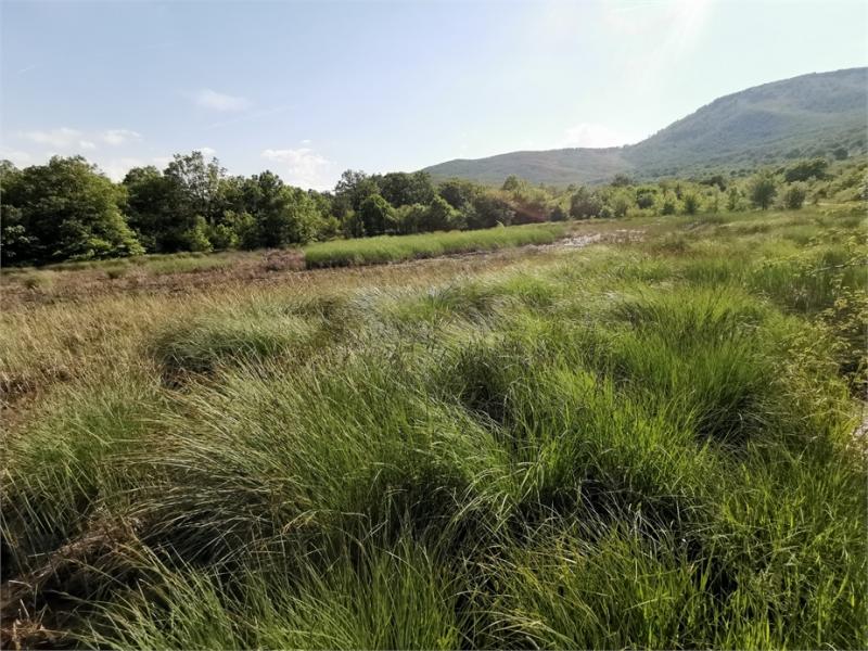 Комисия одобри предложение за обявяване на нова защитена местност в Пазарджишка област