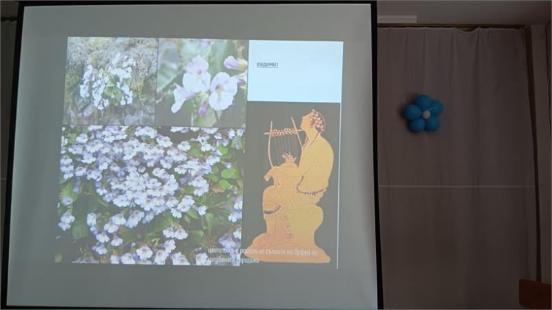 С инициативи във Велинград и Панагюрище РИОСВ отбеляза 32 години от създаването  на Европейската екологична мрежа Натура 2000