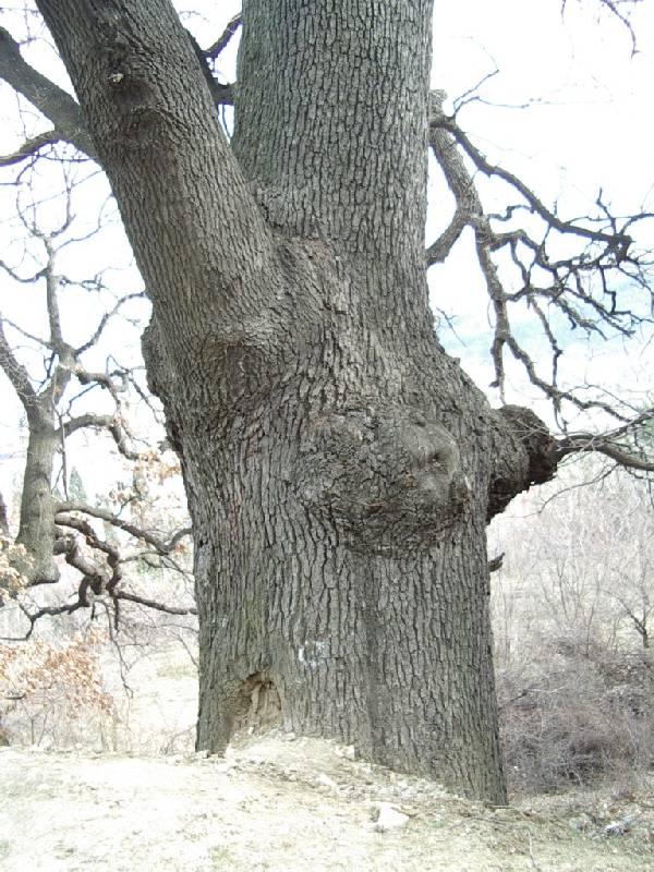 Защитени територии