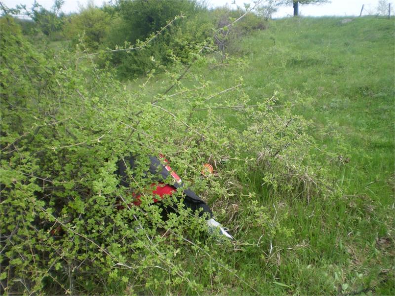 „Да изчистим България заедно“