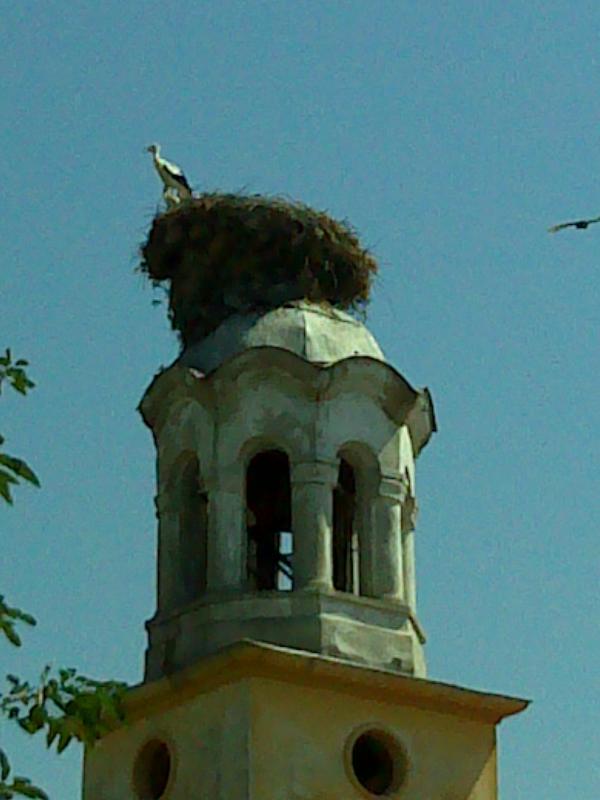 Седмо международно преброяване на белия щъркел - 15 юни-15 юли 2015г.