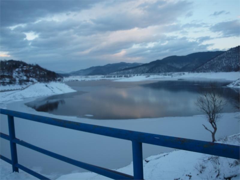 Среднозимно преброяване на зимуващите водолюбиви птици 2017г.