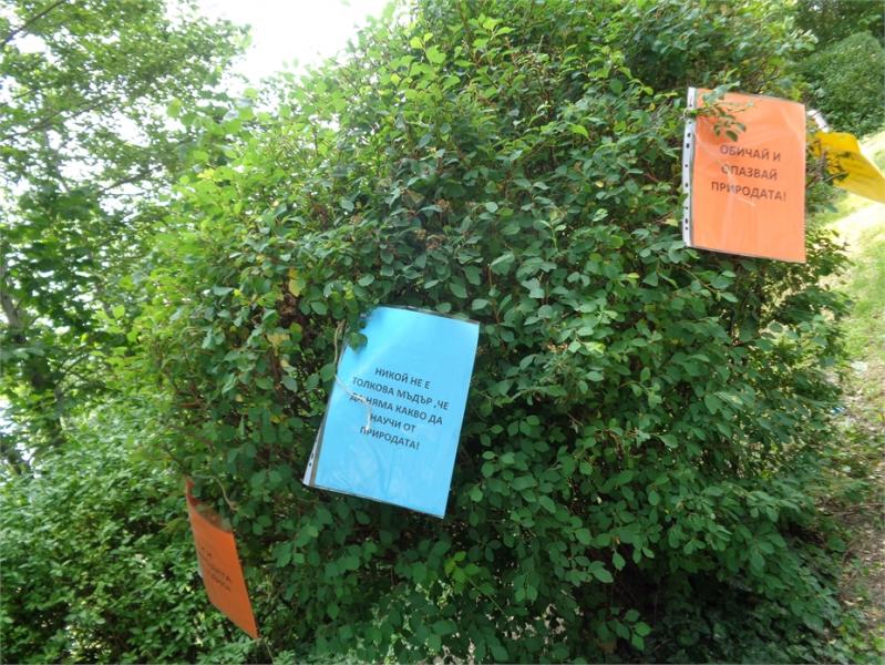 Световен ден на околната среда–5 юни 2017